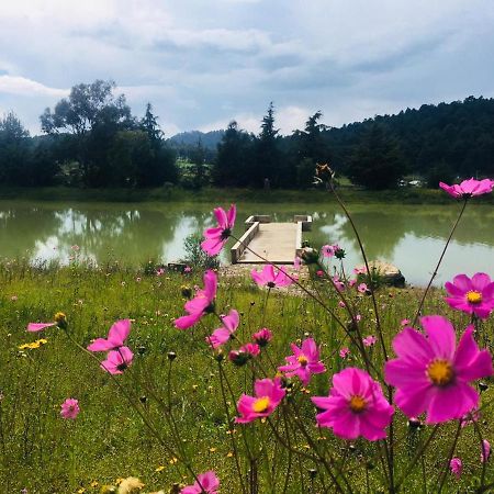 Cabanas Tapalpa Sierra Del Tecuan, Cabana Lince Экстерьер фото