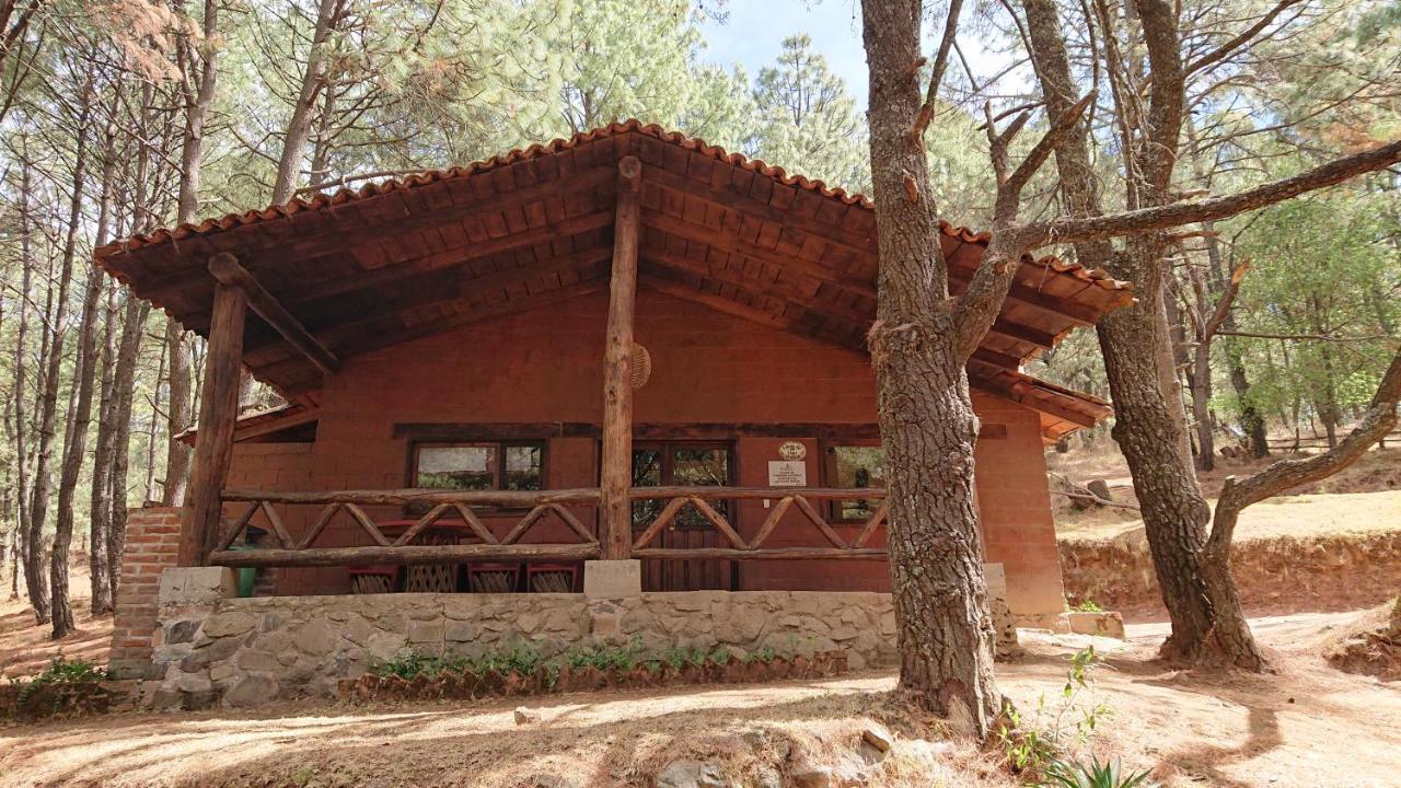 Cabanas Tapalpa Sierra Del Tecuan, Cabana Lince Экстерьер фото